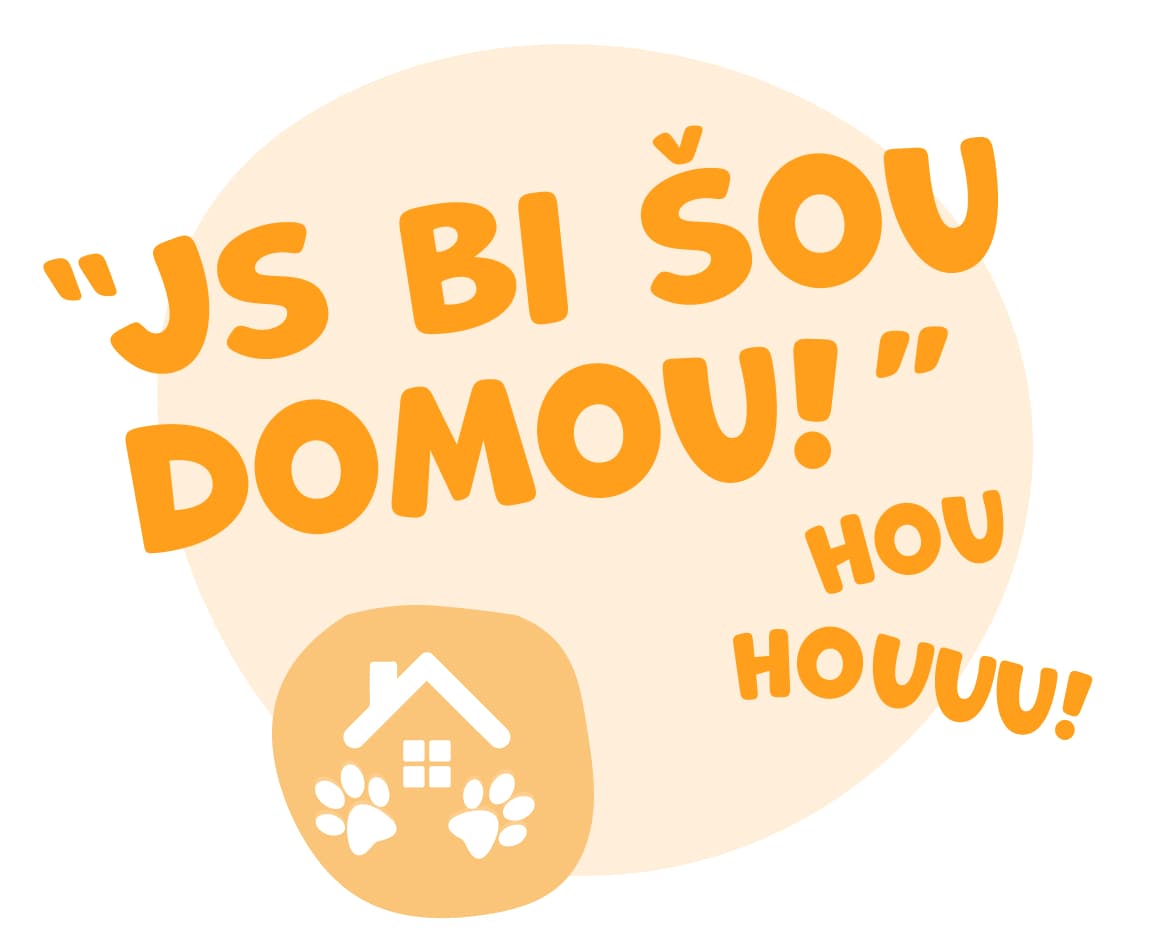 Js bi šou domou